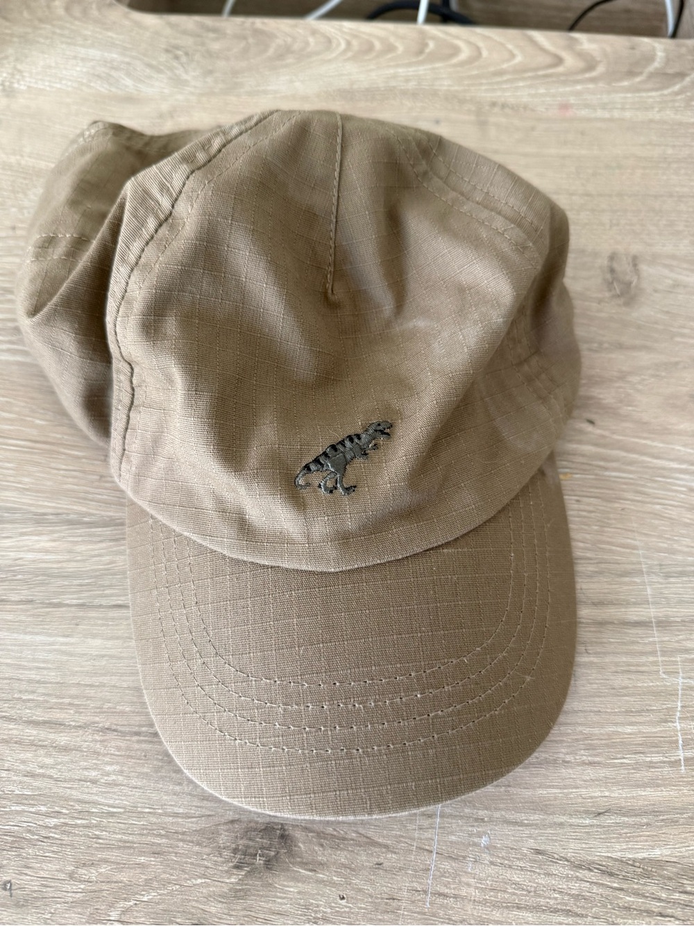 Zara Dino hat